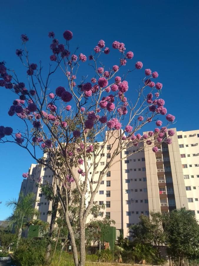 Ecologic Park Caldas Novas
